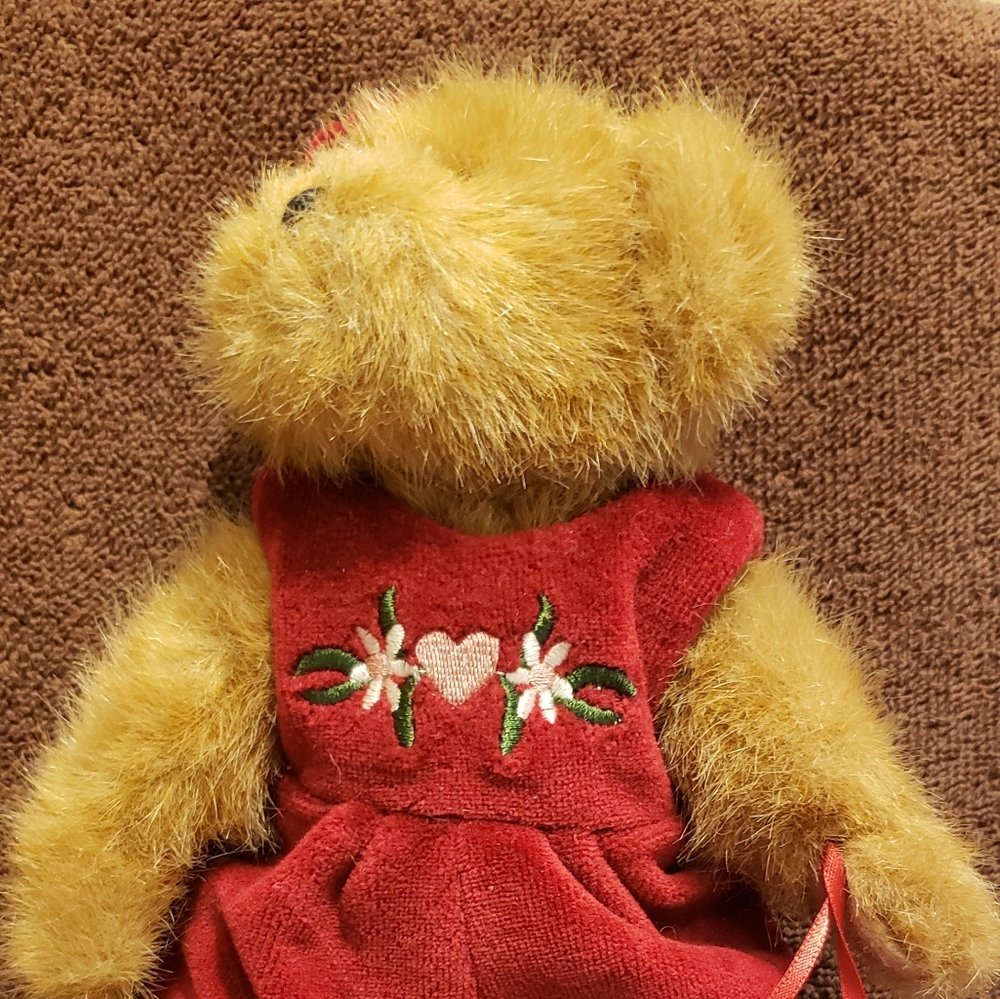 Boyd's bear